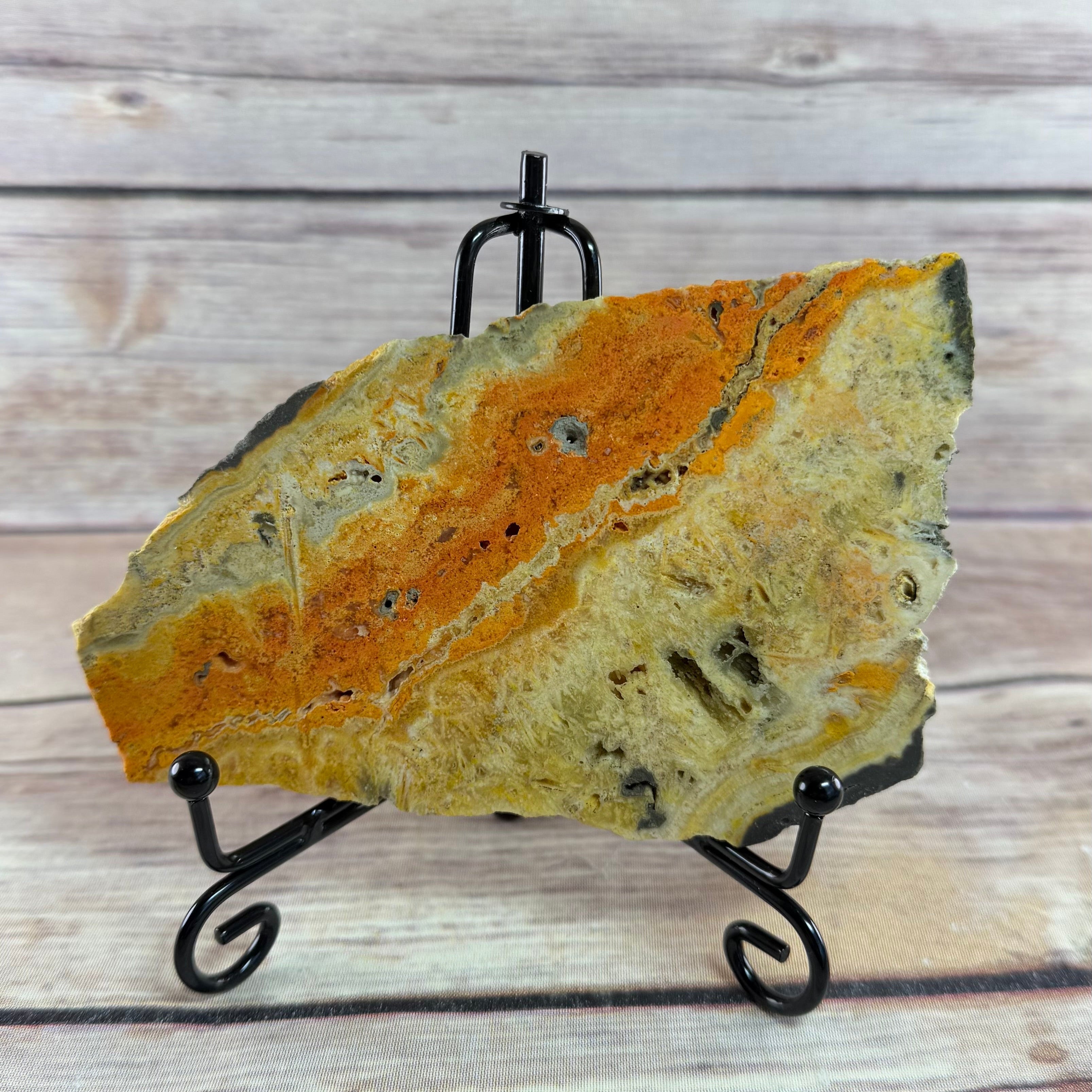 Bumble Bee Jasper Slab