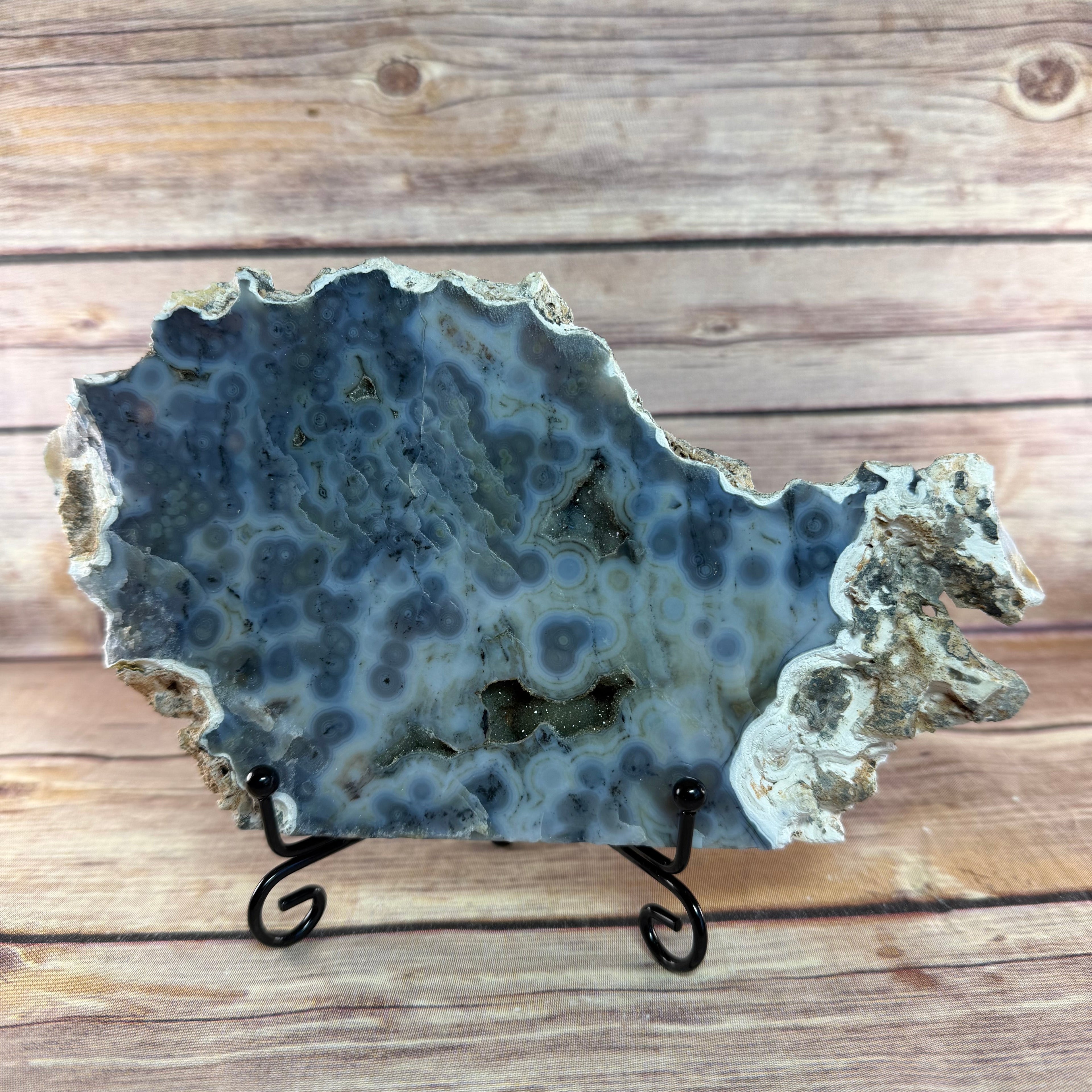 Orbicular Ocean Jasper Slab