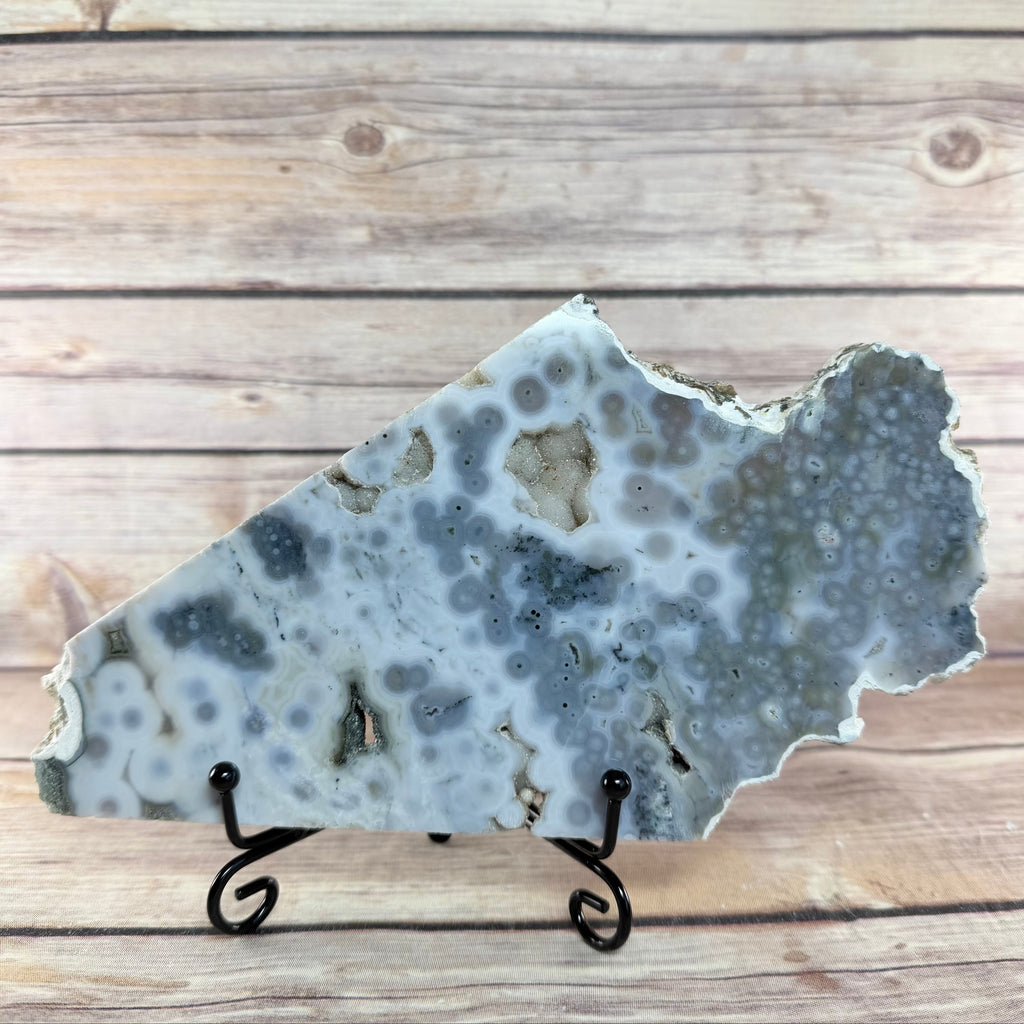 Orbicular Ocean Jasper Slab