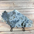 Orbicular Ocean Jasper Slab