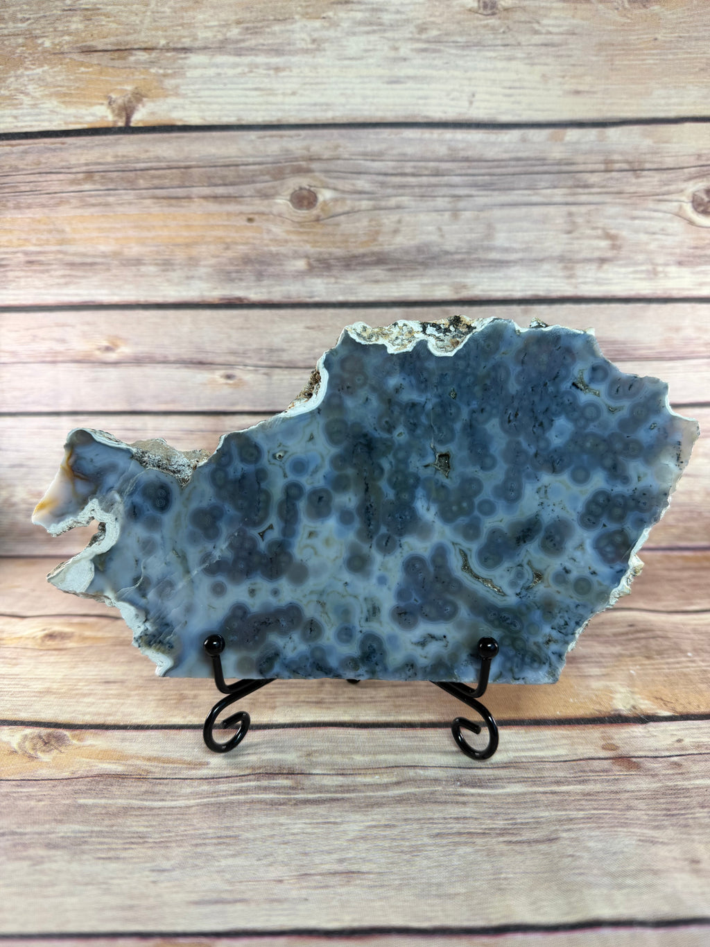 Orbicular Ocean Jasper Slab