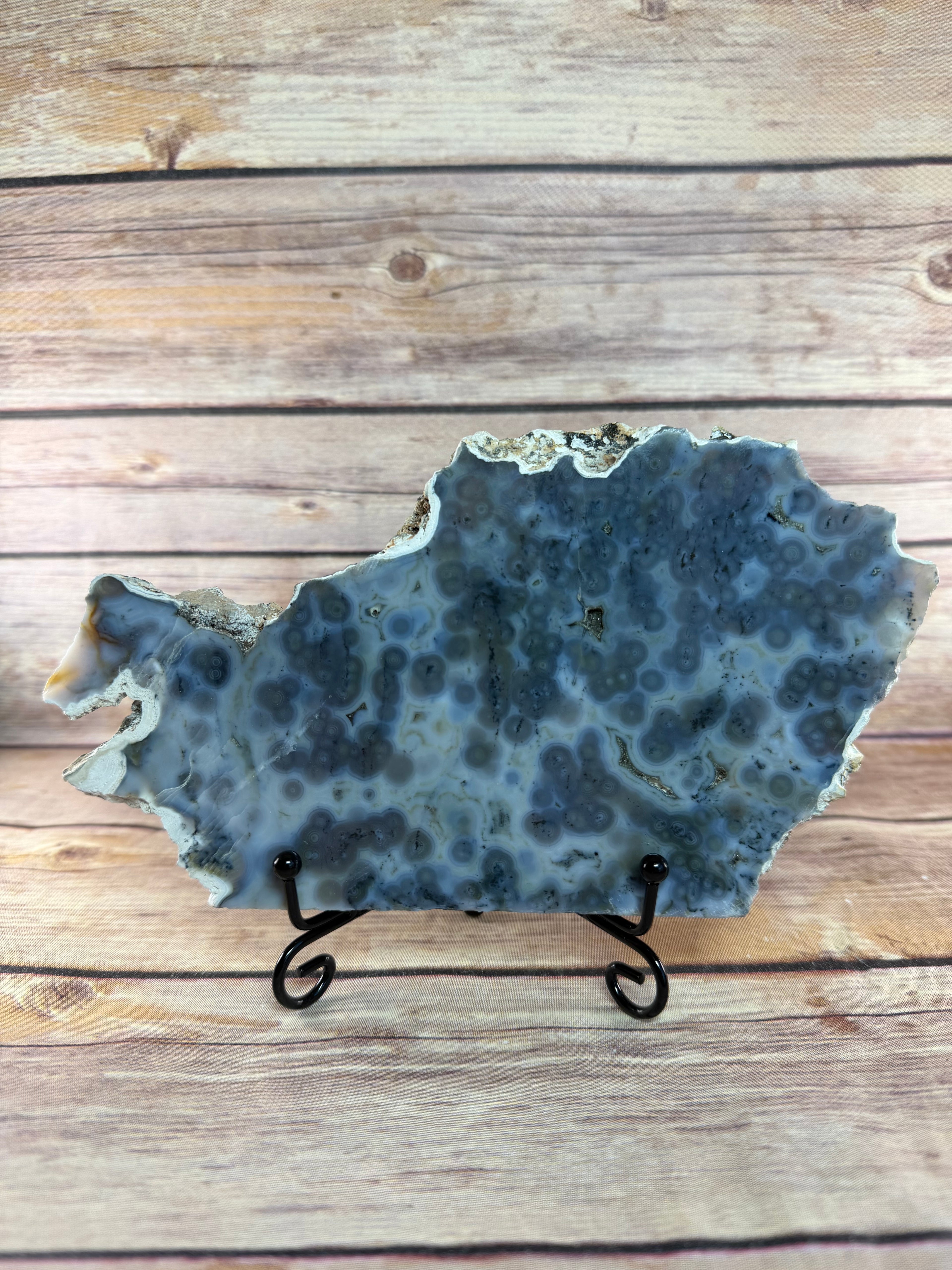 Orbicular Ocean Jasper Slab
